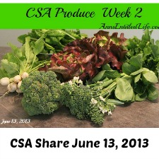 Our CSA Share