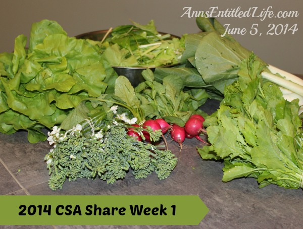 2014 CSA  Share Week 1