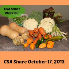 Our CSA Share