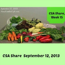 Our CSA Share