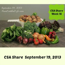 Our CSA Share