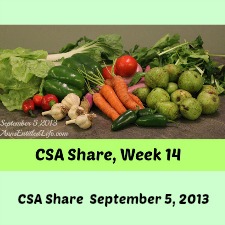 Our CSA Share