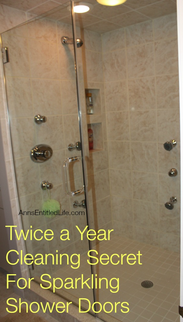 11 Brilliant Hacks to Clean Glass Shower Doors - Organization