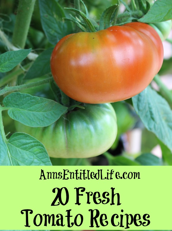 20 Fresh Tomato Recipes. Celebrate summer with incredible and delicious fresh tomato recipes. Roasted, marinated, grilled or straight from the vine; enjoy your bounty of garden tomatoes in a delightful new way with one of these 20 Fresh Tomato Recipes!