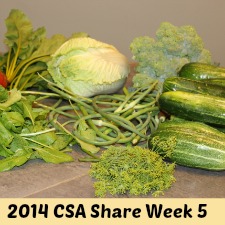 2014 CSA Share Week 5