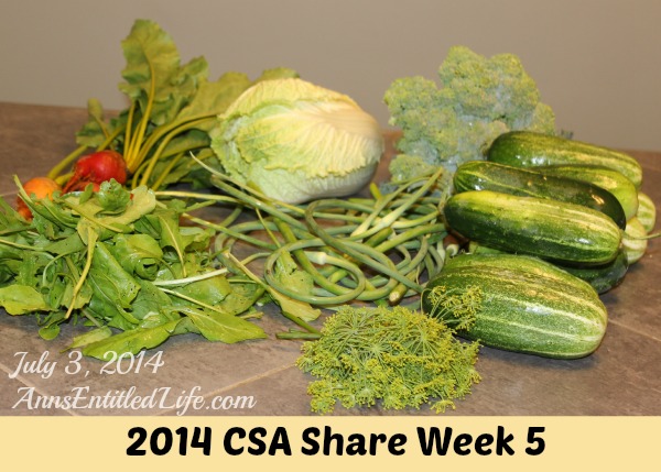 2014 CSA Share Week 5
