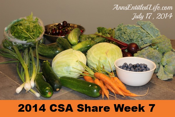 2014 CSA Share Week 5