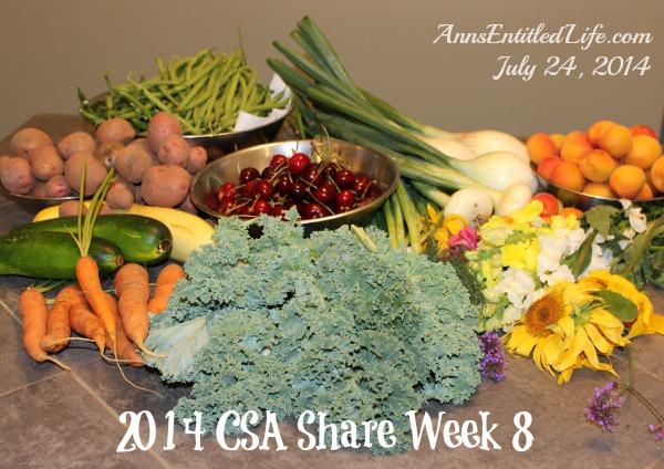 2014 CSA Share Week 8