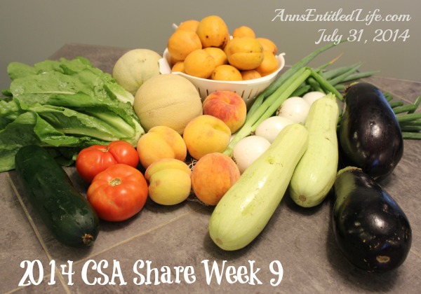 2014 CSA Share Week 9