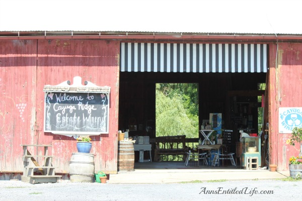 Wine Tasting On Cayuga Lake