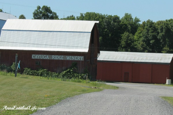 Wine Tasting On Cayuga Lake