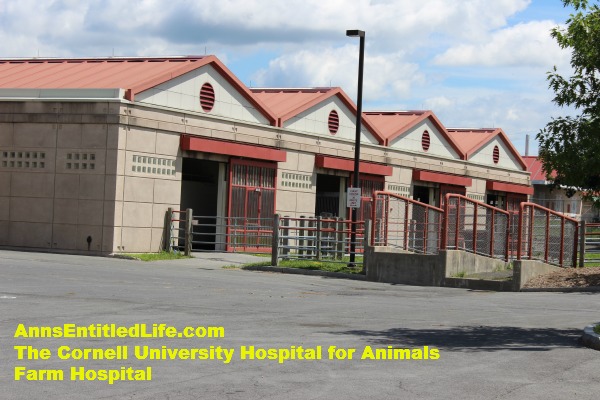 The Cornell University Hospital for Animals Emergency Room Equine Entrance