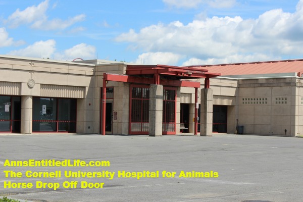 The Cornell University Hospital for Animals Emergency Room Equine Entrance