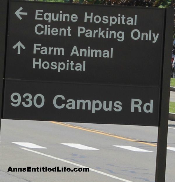 The Cornell University Hospital for Animals Emergency Room Equine Entrance