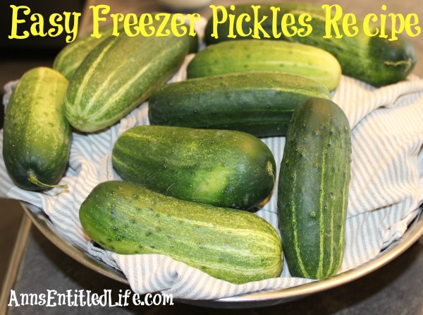 Easy Freezer Pickles Recipe. These easy, sweet and tart pickles are preserved in your freezer. Enjoy garden fresh pickles without the canning or processing with this easy freezer pickles recipe!