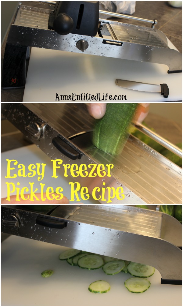 Easy Freezer Pickles Recipe. These easy, sweet and tart pickles are preserved in your freezer. Enjoy garden fresh pickles without the canning or processing with this easy freezer pickles recipe!