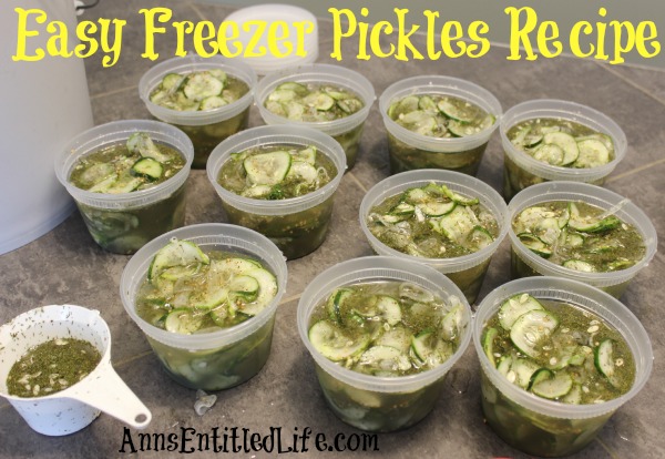 Easy Freezer Pickles Recipe. These easy, sweet and tart pickles are preserved in your freezer. Enjoy garden fresh pickles without the canning or processing with this easy freezer pickles recipe!