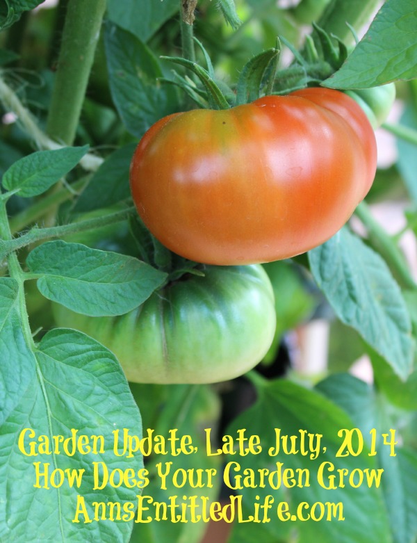 Garden Update, Late July, 2014