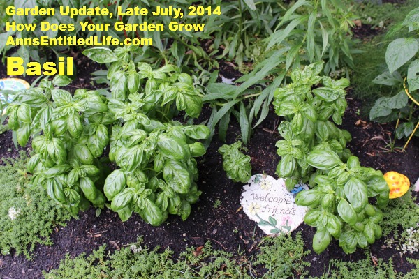 Garden Update, Late July, 2014