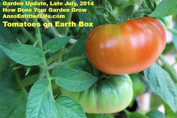Garden Update, Late July, 2014