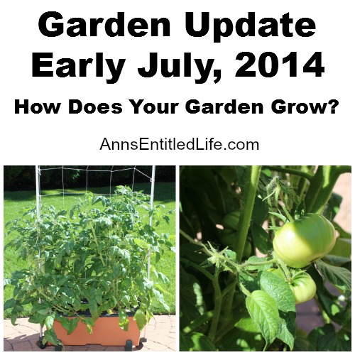 Garden Update, Early July, 2014