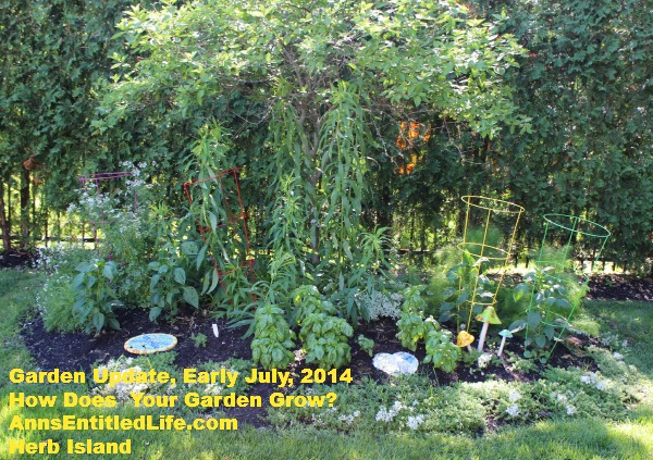 Garden Update, Early July, 2014