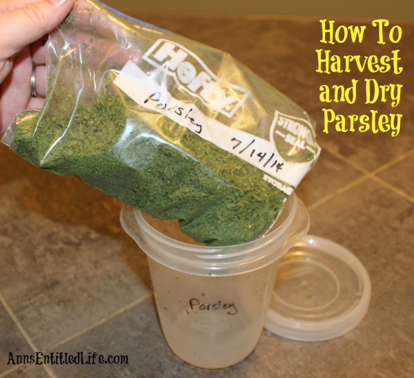 How To Harvest and Dry Parsley