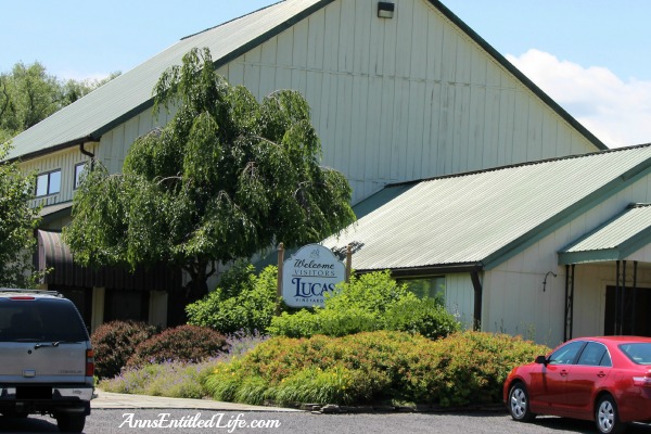 Wine Tasting On Cayuga Lake