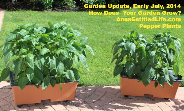 Garden Update, Early July, 2014