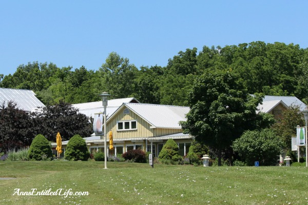 Wine Tasting On Cayuga Lake