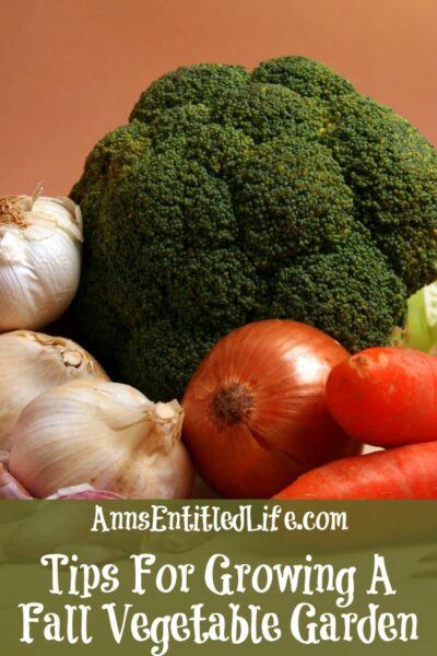 Tips For Growing A Fall Vegetable Garden