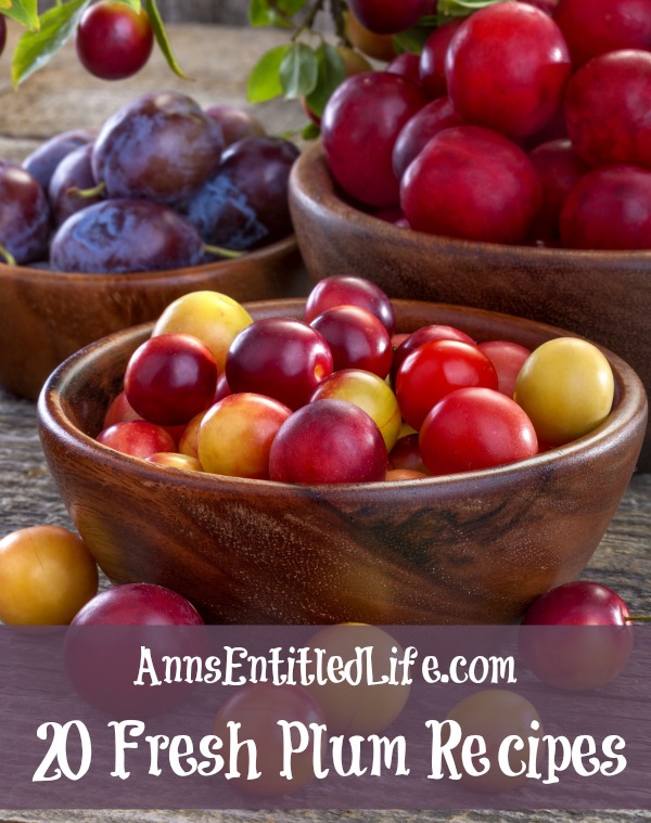 20 Fresh Plum Recipes. Savor the sweet flavor of fresh plums with these 20 Fresh Plum Recipes. From crumbles to jams to cakes and pies, there is a fresh plum recipe for everyone to enjoy!