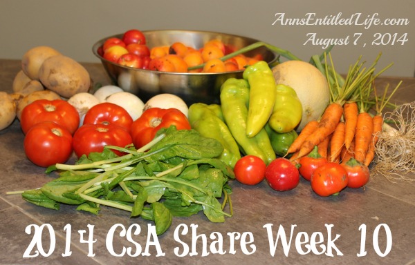 2014 CSA Share Week 10