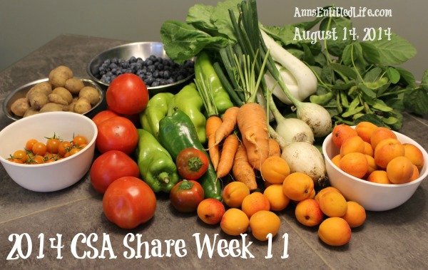 2014 CSA Share Week 11