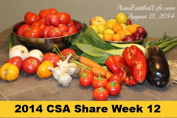 2014 CSA Share Week 12
