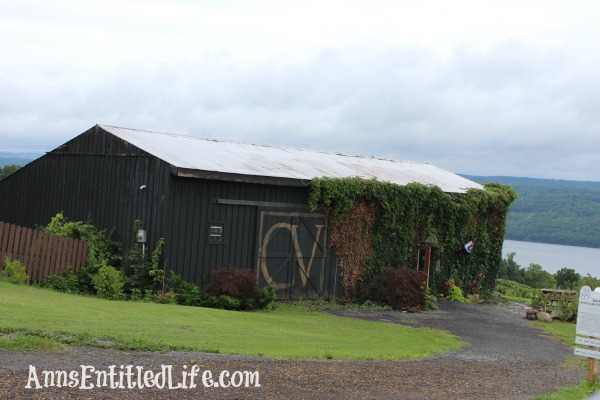 Wine Tasting On Seneca Lake