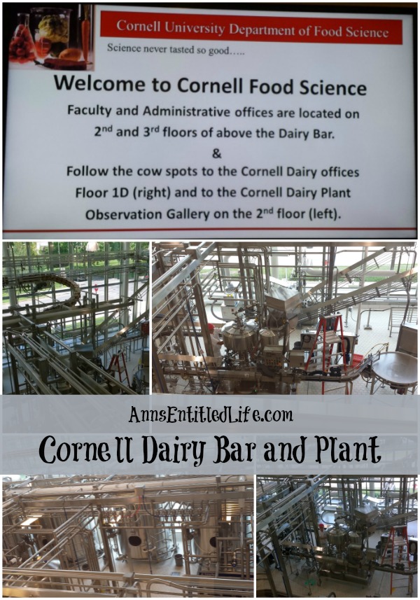 Cornell Dairy Bar and Plant