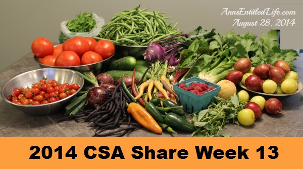 2014 CSA Share Week 13