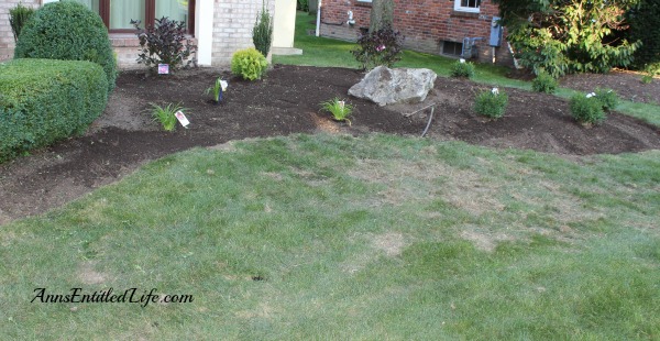 Landscape Makeover