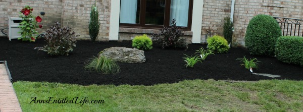 Landscape Makeover