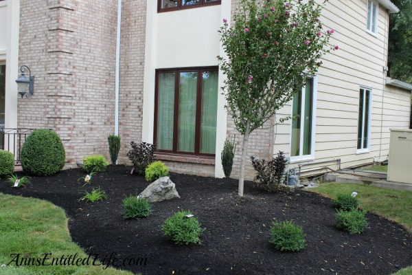 Landscape Makeover