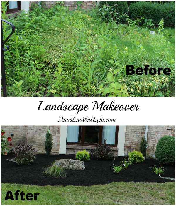 Landscape Makeover