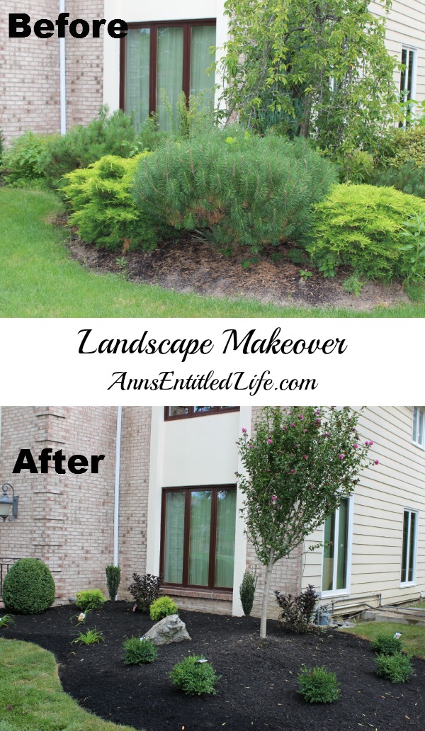 Landscape Makeover