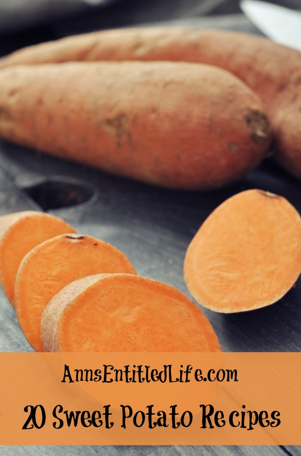 20 Sweet Potato Recipes. Fries, pies, soups and more: 20 ways to enjoy the delicious, Vitamin A rich, sweet potato. You and your children will love these 20 Sweet Potato Recipes!