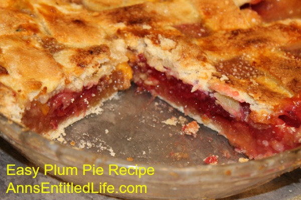 Easy Plum Pie Recipe. Now is the time to make this easy plum pie recipe when plums are in season! Sweet and delicious, this lovely plum pie is a wonderful dessert that everyone will enjoy.