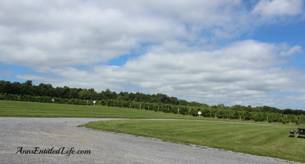 Fox Run Vineyards