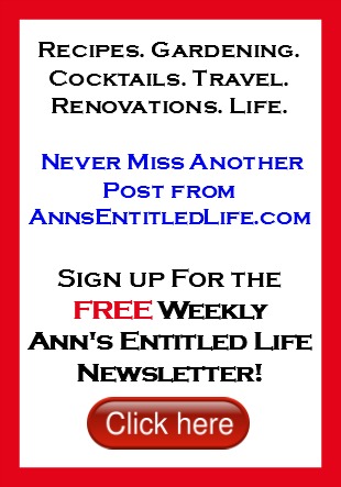 FREE Newsletter Sign Up For Ann's Entitled Life