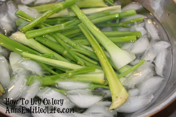 How To Dry Celery