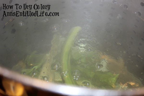 How To Dry Celery