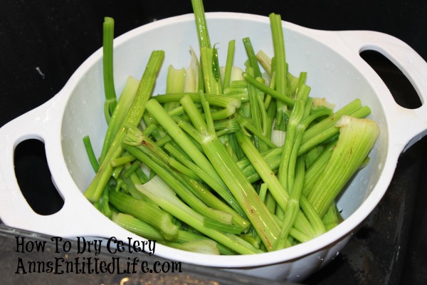 How To Dry Celery